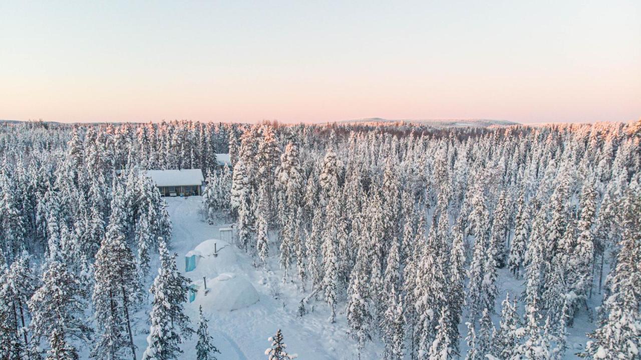 Aurora Igloo Fireplace-Heated Tents In A Secret Forest With Private Jacuzzi And Shared Sauna Bathroom And Dog Friendly Rovaniemi Eksteriør bilde