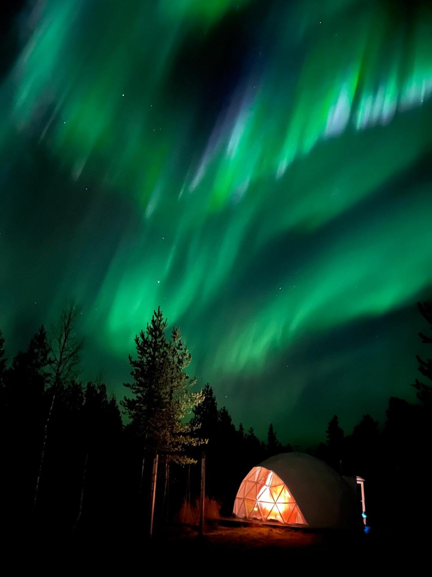 Aurora Igloo Fireplace-Heated Tents In A Secret Forest With Private Jacuzzi And Shared Sauna Bathroom And Dog Friendly Rovaniemi Eksteriør bilde