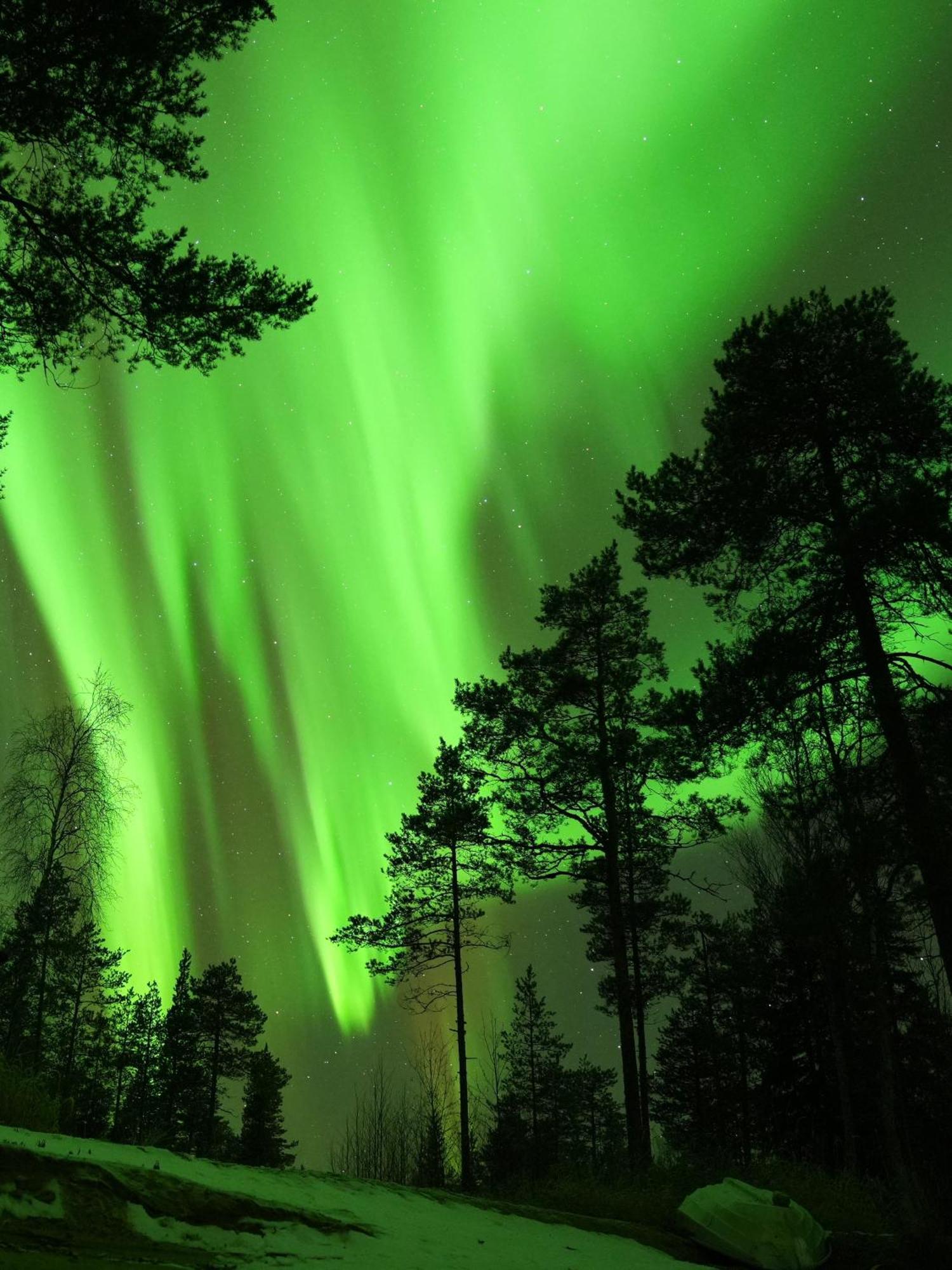 Aurora Igloo Fireplace-Heated Tents In A Secret Forest With Private Jacuzzi And Shared Sauna Bathroom And Dog Friendly Rovaniemi Eksteriør bilde