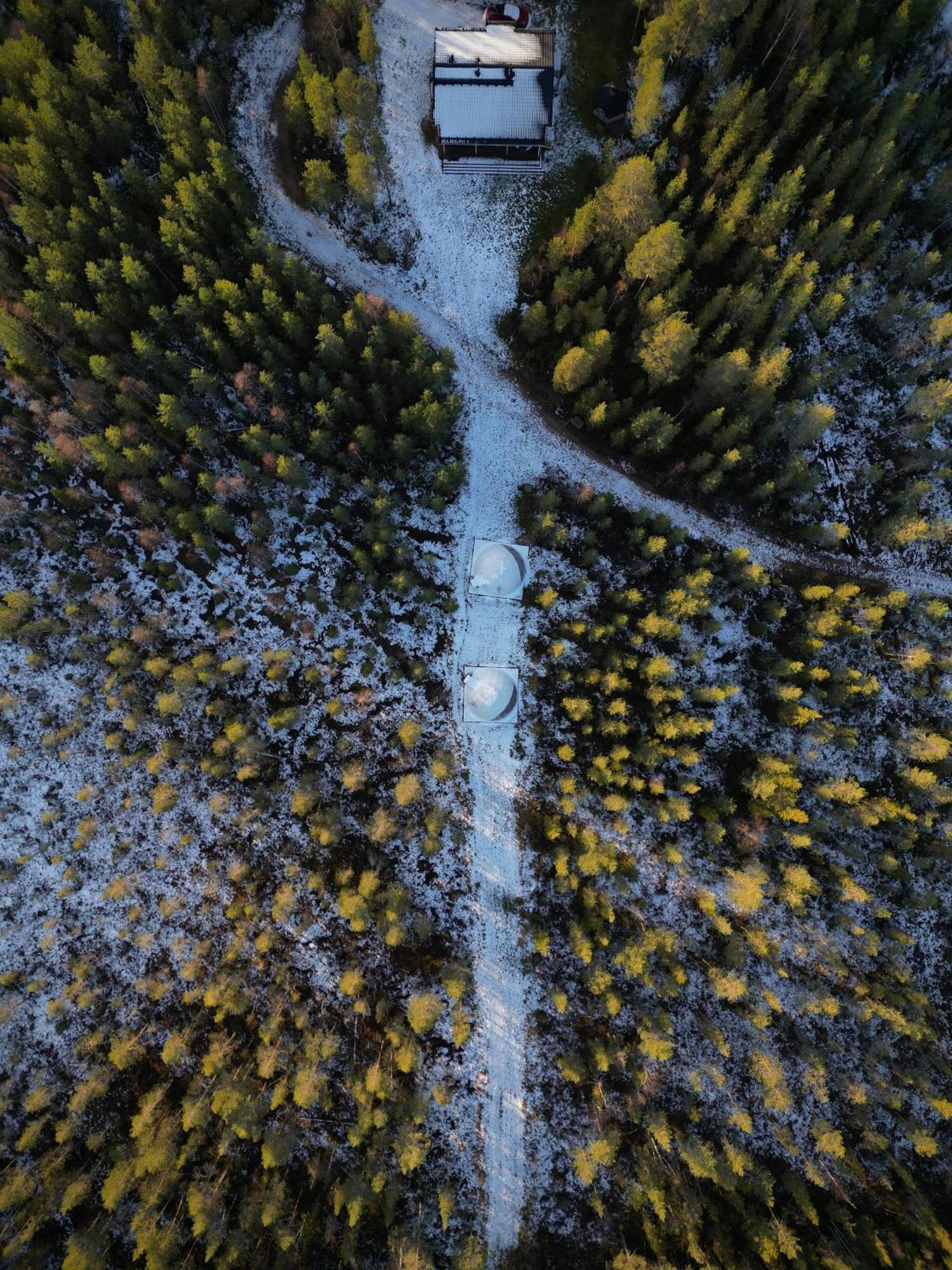 Aurora Igloo Fireplace-Heated Tents In A Secret Forest With Private Jacuzzi And Shared Sauna Bathroom And Dog Friendly Rovaniemi Eksteriør bilde