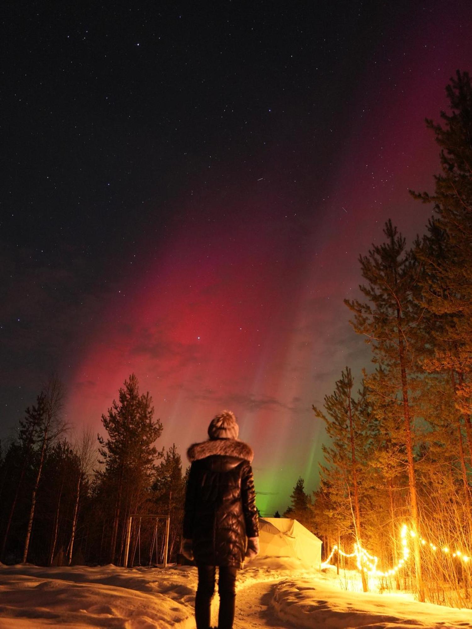 Aurora Igloo Fireplace-Heated Tents In A Secret Forest With Private Jacuzzi And Shared Sauna Bathroom And Dog Friendly Rovaniemi Eksteriør bilde